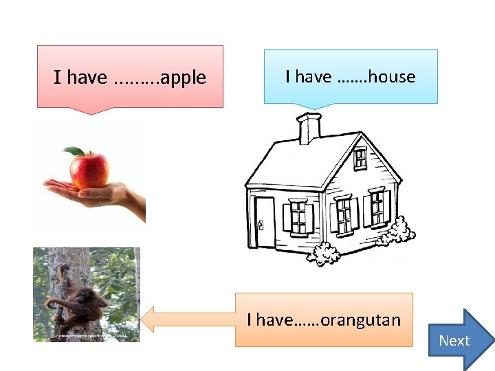 I have ………apple I have ……. house I have……orangutan Next 