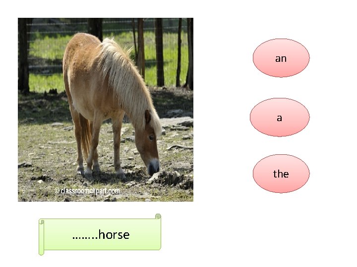an a the ……. . horse 