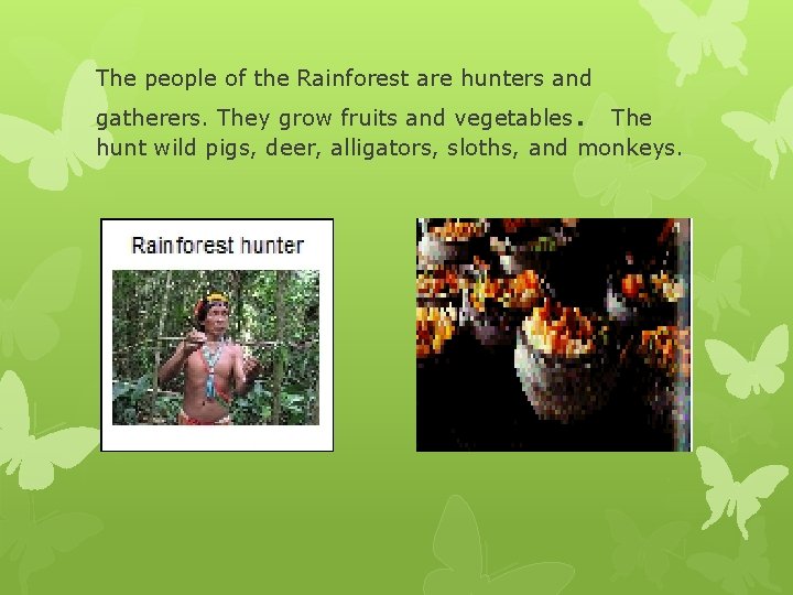 The people of the Rainforest are hunters and . gatherers. They grow fruits and