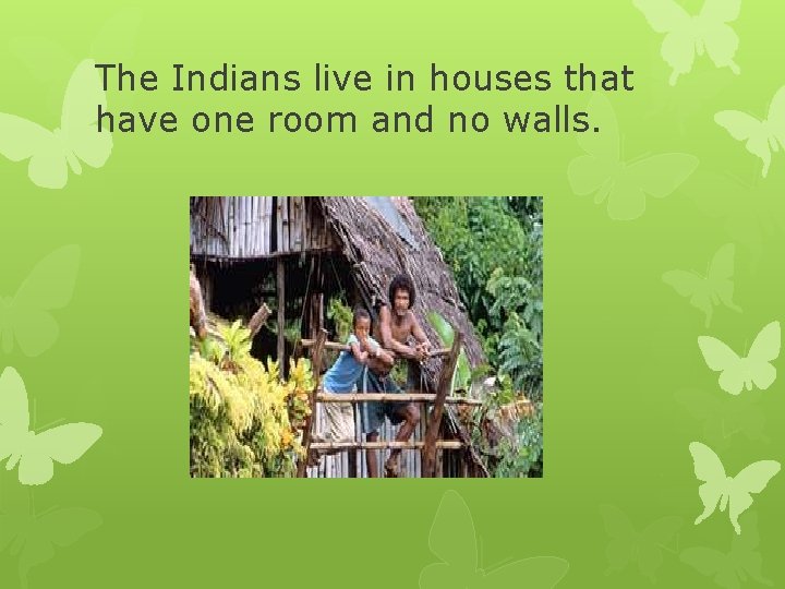 The Indians live in houses that have one room and no walls. 
