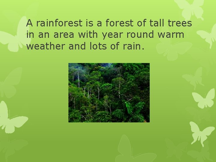 A rainforest is a forest of tall trees in an area with year round