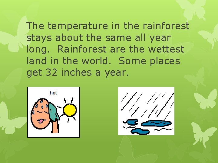 The temperature in the rainforest stays about the same all year long. Rainforest are