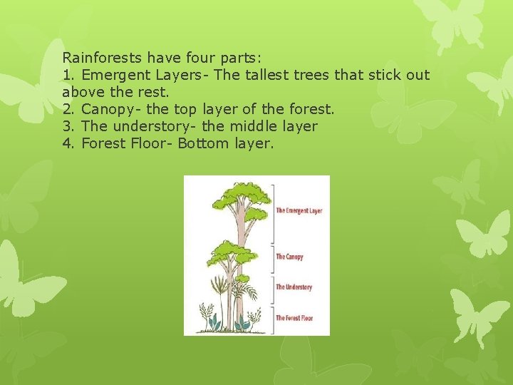 Rainforests have four parts: 1. Emergent Layers- The tallest trees that stick out above