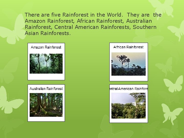 There are five Rainforest in the World. They are the Amazon Rainforest, African Rainforest,