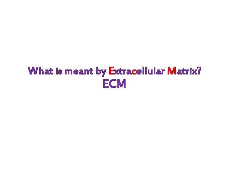 What is meant by Extracellular Matrix? ECM 