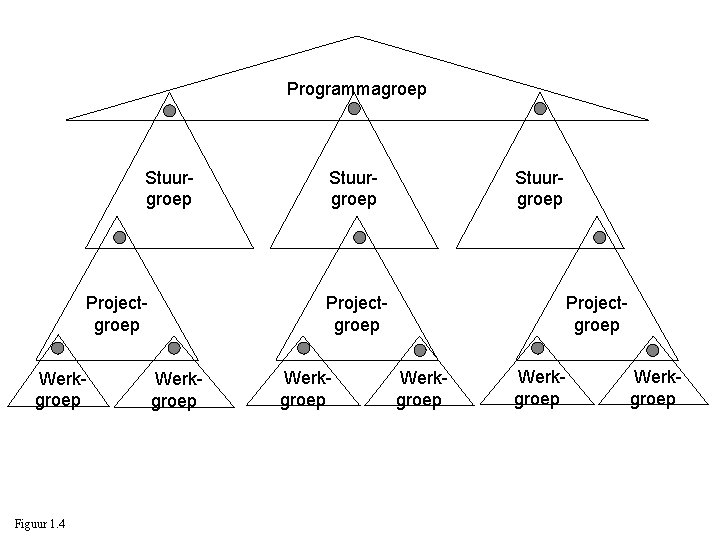 Programmagroep Stuurgroep Projectgroep Werkgroep Figuur 1. 4 Stuurgroep Projectgroep Werkgroep Werkgroep 