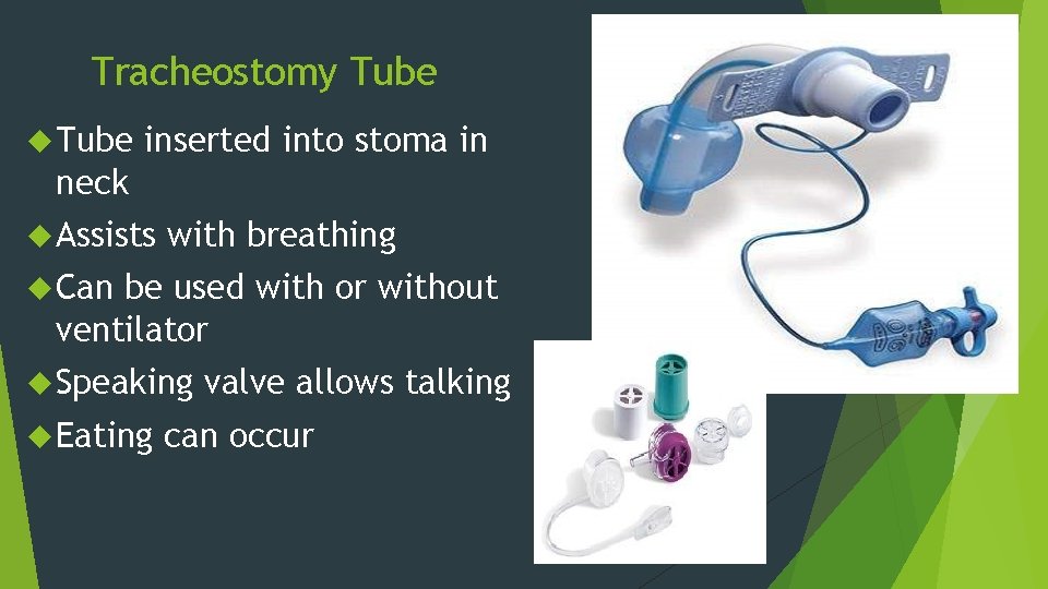 Tracheostomy Tube inserted into stoma in neck Assists with breathing Can be used with