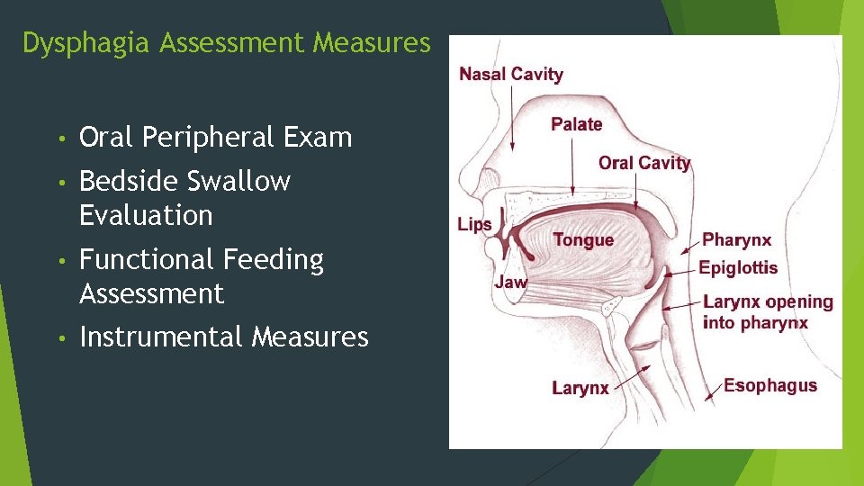Dysphagia Assessment Measures • Oral Peripheral Exam • Bedside Swallow Evaluation • Functional Feeding