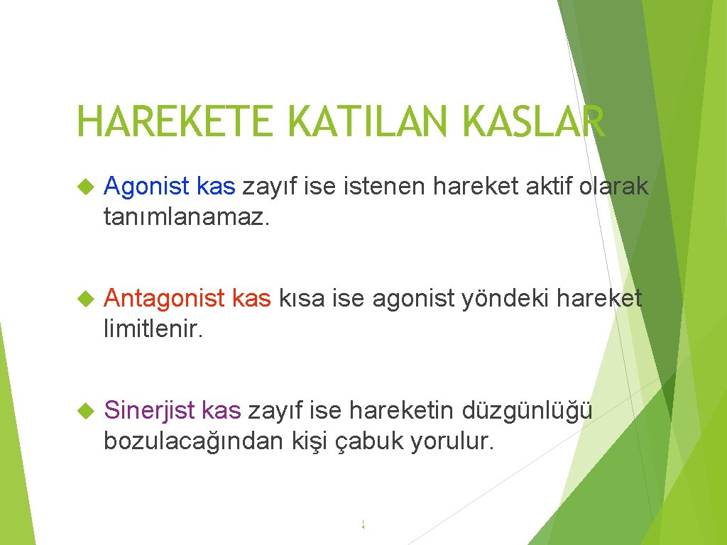 HAREKETE KATILAN KASLAR Agonist kas zayıf ise istenen hareket aktif olarak tanımlanamaz. Antagonist kas