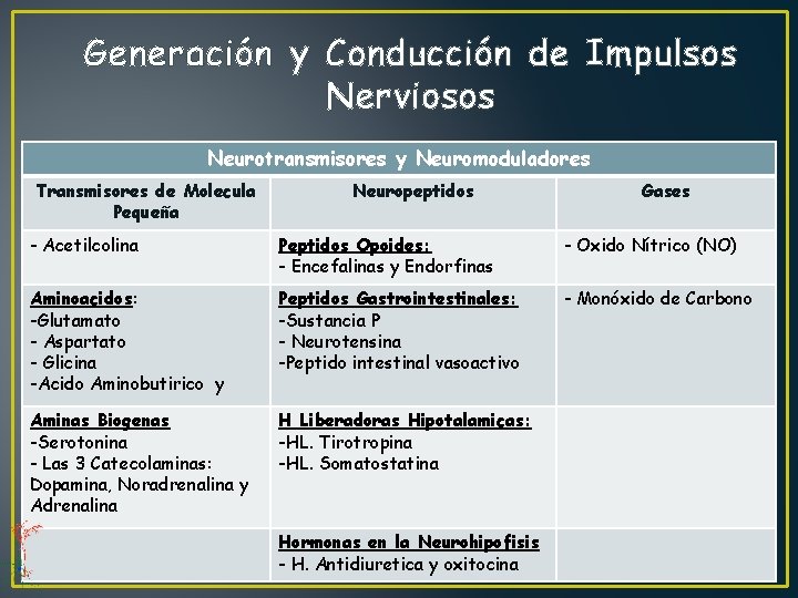 Generación y Conducción de Impulsos Nerviosos Neurotransmisores y Neuromoduladores Transmisores de Molecula Pequeña Neuropeptidos