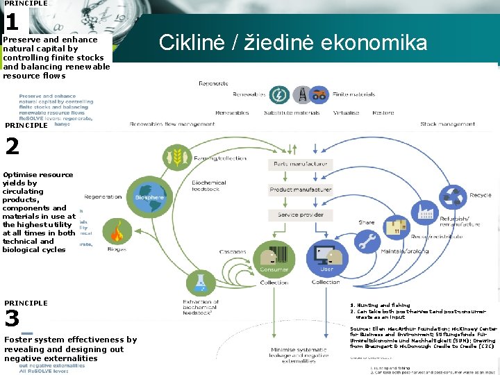 PRINCIPLE 1 Preserve and enhance natural capital by controlling finite stocks and balancing renewable