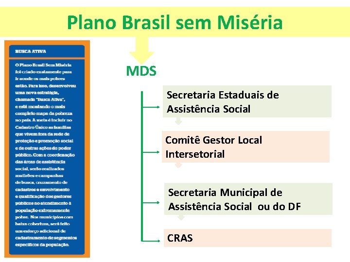Plano Brasil sem Miséria MDS Secretaria Estaduais de Assistência Social Comitê Gestor Local Intersetorial Plano Brasil sem Miséria MDS Secretaria Estaduais de Assistência Social Comitê Gestor Local Intersetorial