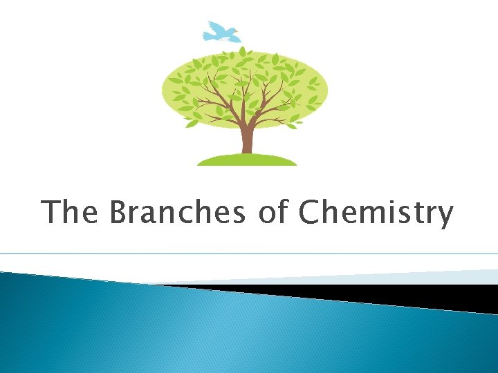 The Branches of Chemistry 