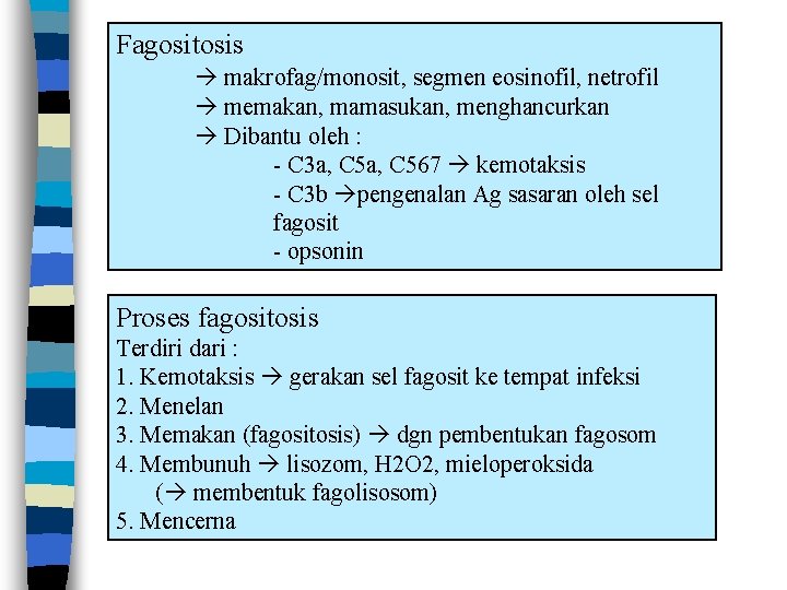 Fagositosis makrofag/monosit, segmen eosinofil, netrofil memakan, mamasukan, menghancurkan Dibantu oleh : - C 3