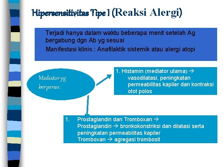 Hipersensitivitas Tipe I (Reaksi Alergi) • • Terjadi hanya dalam waktu beberapa menit setelah