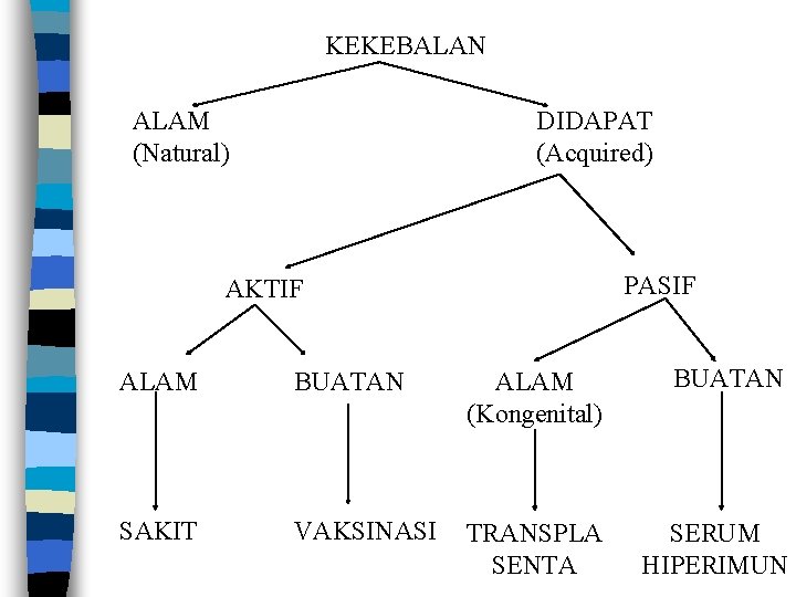 KEKEBALAN ALAM (Natural) DIDAPAT (Acquired) PASIF AKTIF ALAM BUATAN ALAM (Kongenital) BUATAN SAKIT VAKSINASI