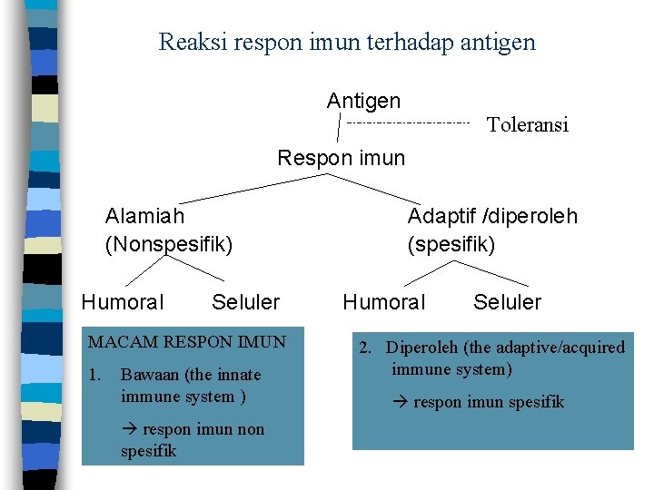 Reaksi respon imun terhadap antigen Antigen Toleransi Respon imun Alamiah (Nonspesifik) Humoral Seluler MACAM