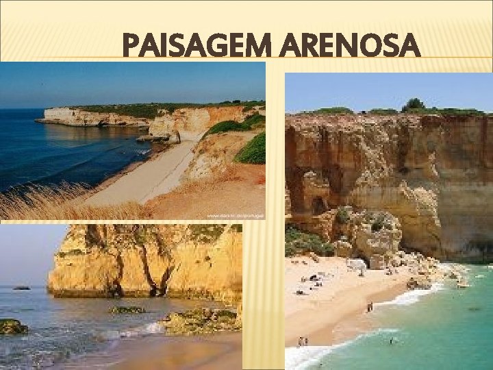 PAISAGEM ARENOSA 