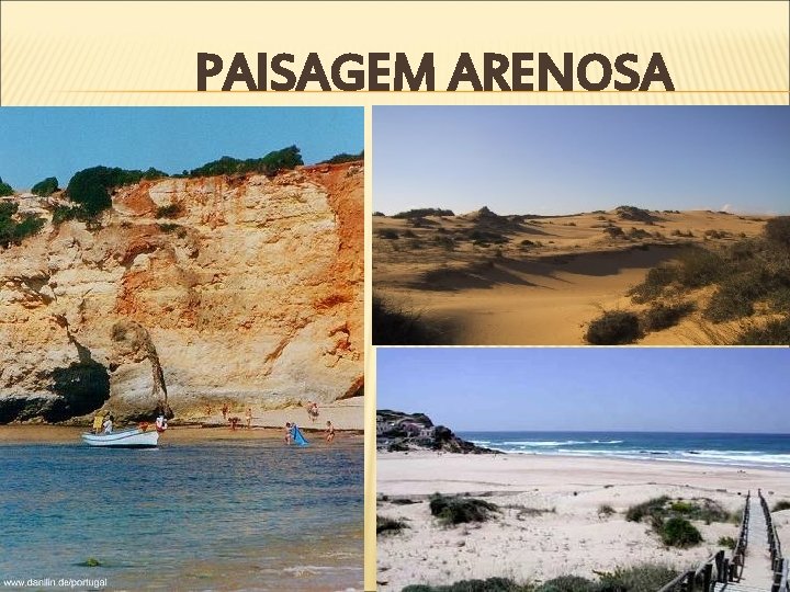 PAISAGEM ARENOSA 