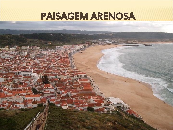 PAISAGEM ARENOSA 