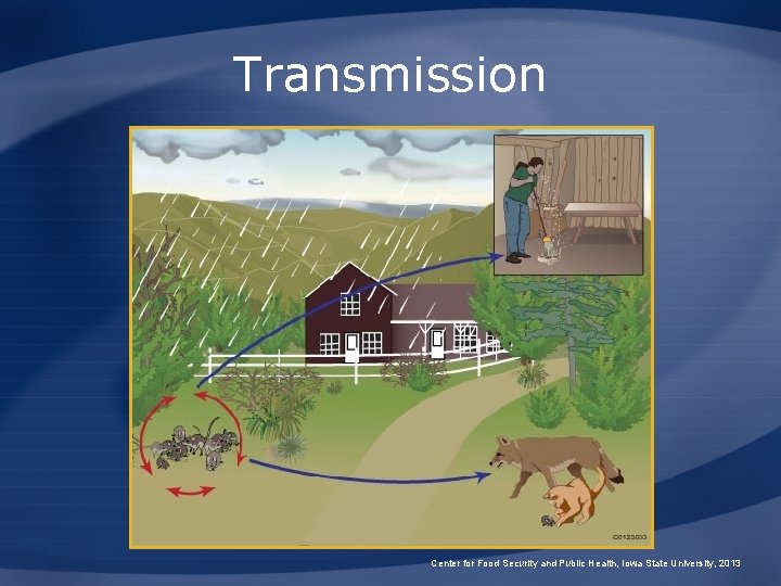 Transmission Center for Food Security and Public Health, Iowa State University, 2013 