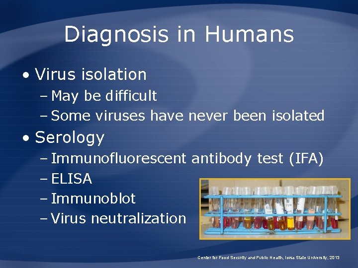 Diagnosis in Humans • Virus isolation – May be difficult – Some viruses have