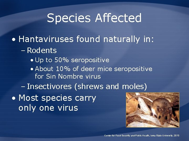 Species Affected • Hantaviruses found naturally in: – Rodents • Up to 50% seropositive