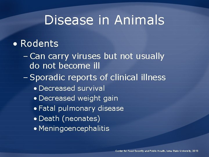 Disease in Animals • Rodents – Can carry viruses but not usually do not