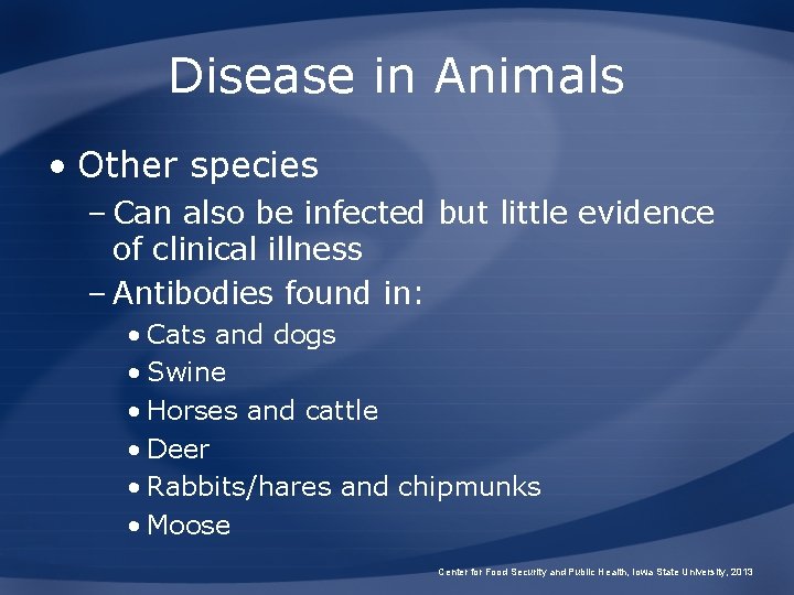 Disease in Animals • Other species – Can also be infected but little evidence
