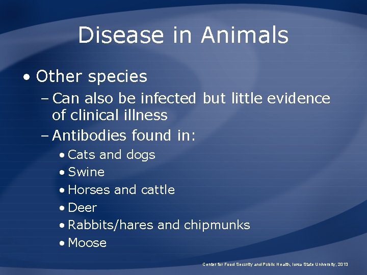 Disease in Animals • Other species – Can also be infected but little evidence