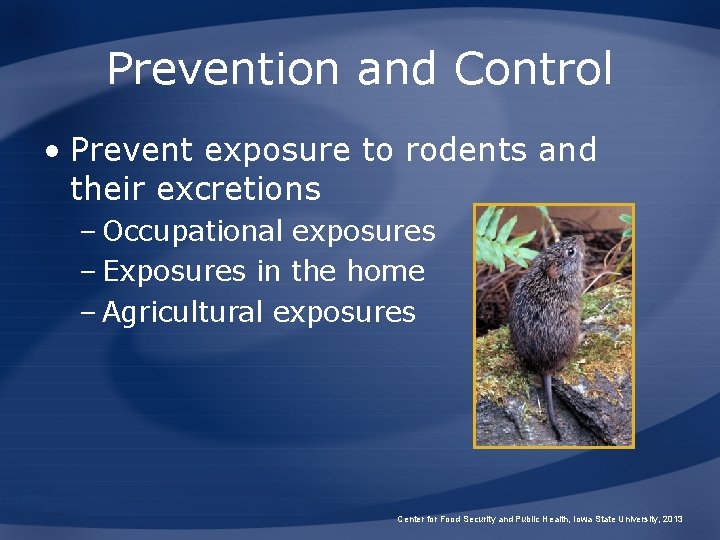 Prevention and Control • Prevent exposure to rodents and their excretions – Occupational exposures