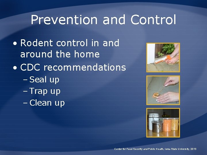 Prevention and Control • Rodent control in and around the home • CDC recommendations