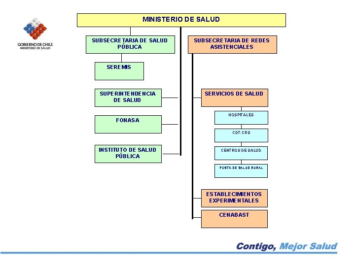 MINISTERIO DE SALUD SUBSECRETARIA DE SALUD PÚBLICA SUBSECRETARIA DE REDES ASISTENCIALES SEREMIS SUPERINTENDENCIA DE