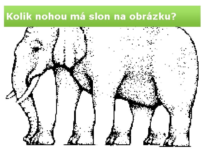 Kolik nohou má slon na obrázku? 