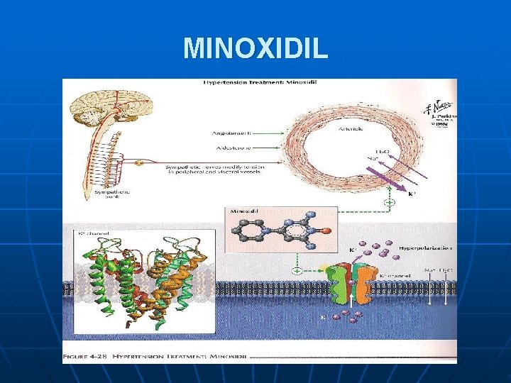 MINOXIDIL 