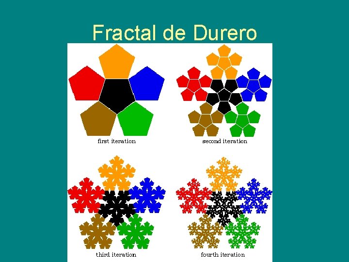 Fractal de Durero 