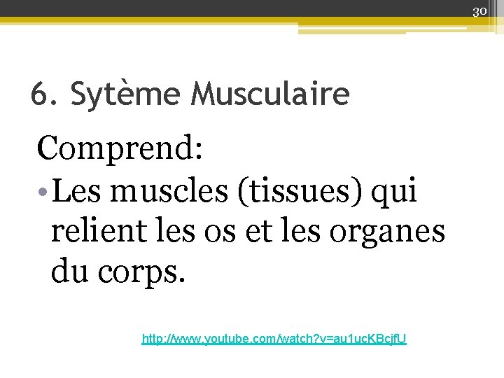 30 6. Sytème Musculaire Comprend: • Les muscles (tissues) qui relient les os et
