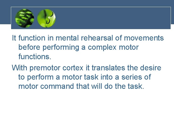 It function in mental rehearsal of movements before performing a complex motor functions. With