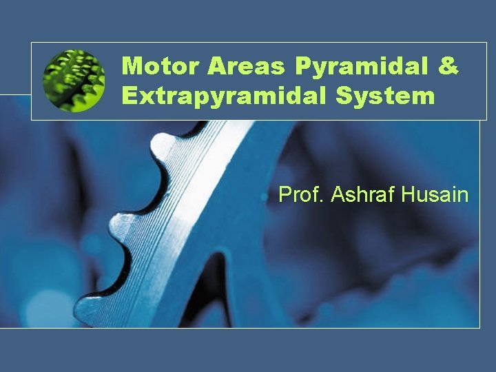 Motor Areas Pyramidal & Extrapyramidal System Prof. Ashraf Husain 