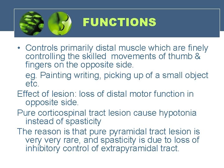 FUNCTIONS • Controls primarily distal muscle which are finely controlling the skilled movements of