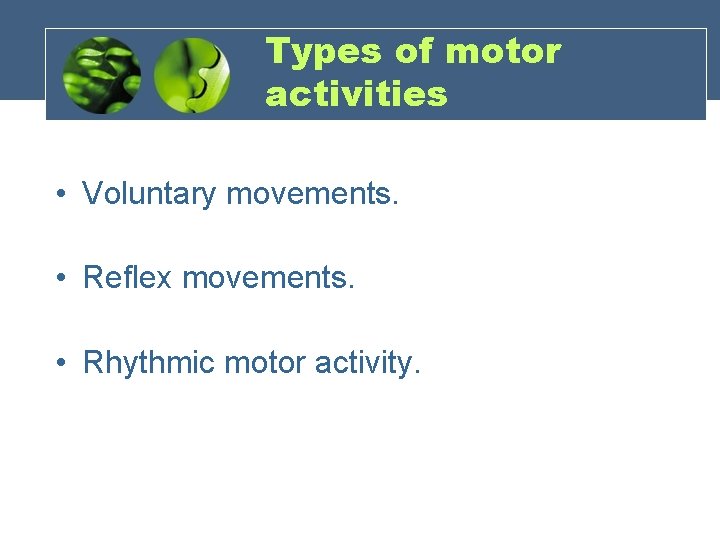 Types of motor activities • Voluntary movements. • Reflex movements. • Rhythmic motor activity.