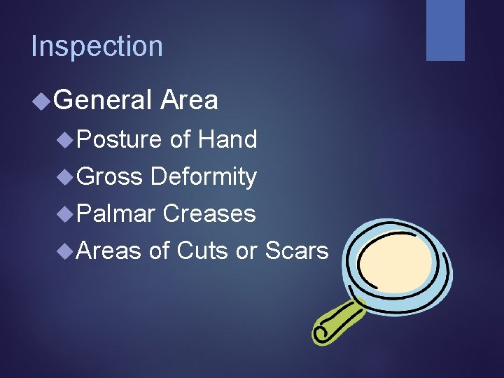 Inspection General Area Posture of Hand Gross Deformity Palmar Creases Areas of Cuts or