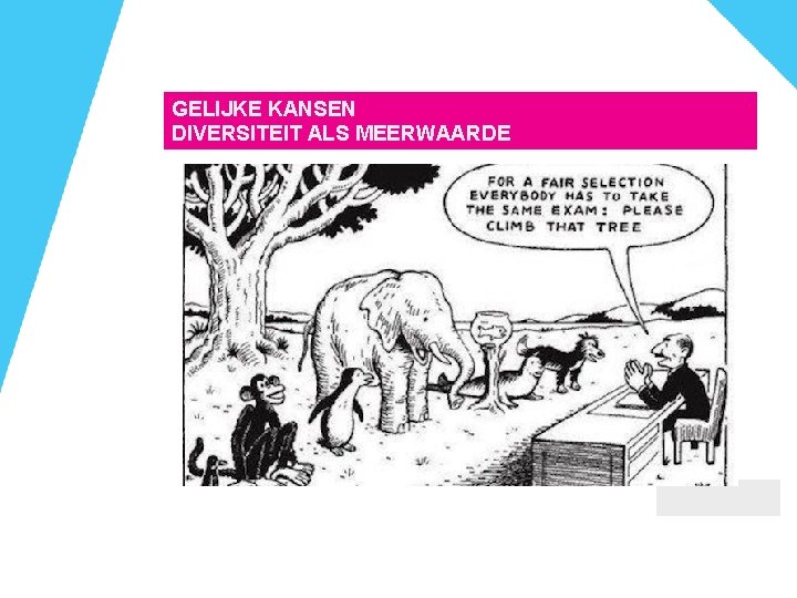 GELIJKE KANSEN DIVERSITEIT ALS MEERWAARDE GELIJKE KANSEN DIVERSITEIT ALS MEERWAARDE