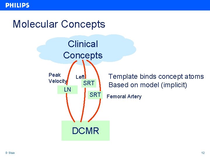 Molecular Concepts Clinical Concepts Peak Velocity LN Left SRT Template binds concept atoms Based