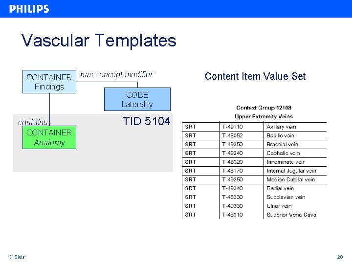 Vascular Templates CONTAINER Findings contains CONTAINER Anatomy D Sluis has concept modifier Content Item