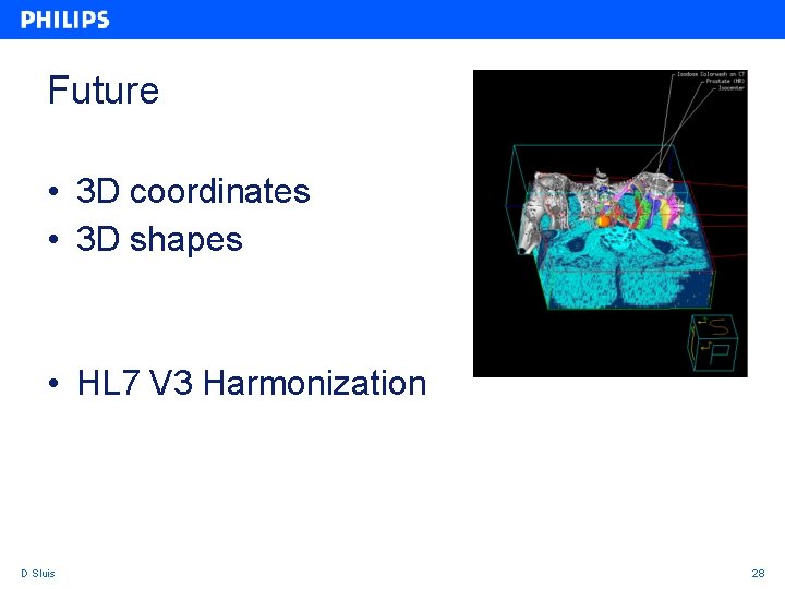 Future • 3 D coordinates • 3 D shapes • HL 7 V 3