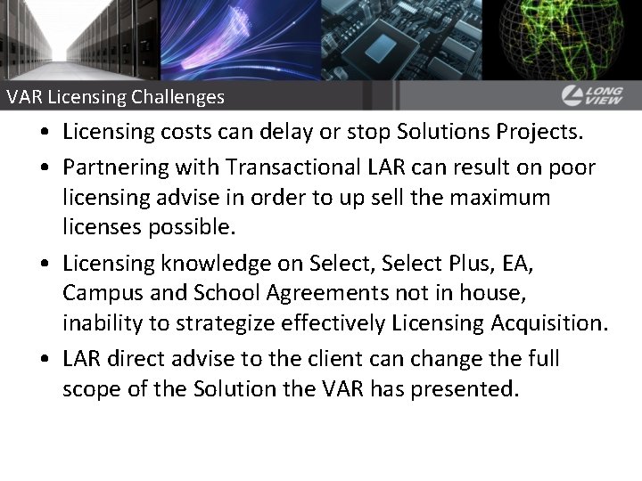 Long View Licensing Offerings Long View Systems with