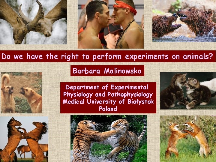 Do we have the right to perform experiments on animals? Barbara Malinowska Department of