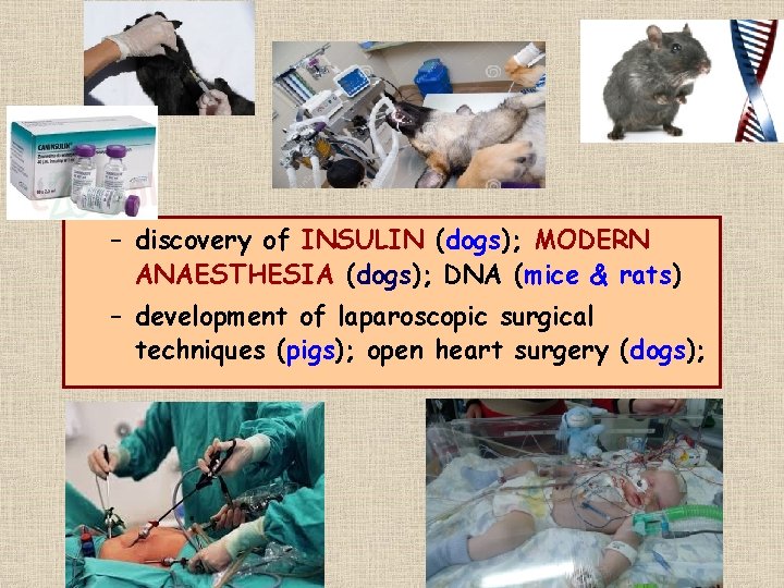 – discovery of INSULIN (dogs); MODERN ANAESTHESIA (dogs); DNA (mice & rats) – development