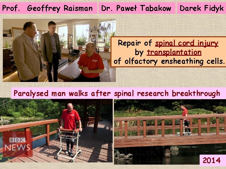 Prof. Geoffrey Raisman Dr. Paweł Tabakow Darek Fidyk Repair of spinal cord injury by